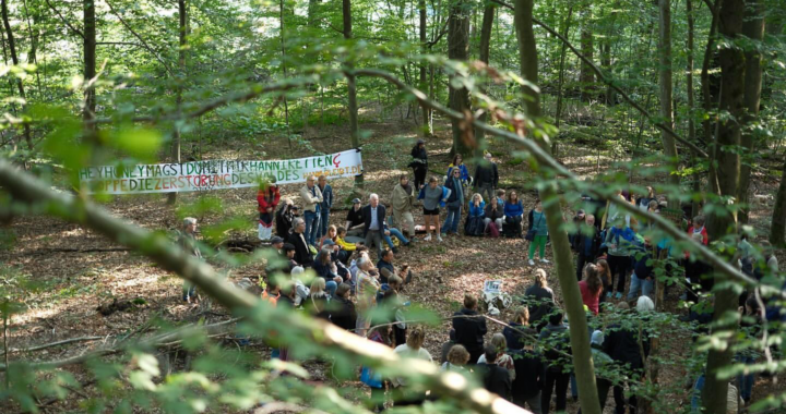 6. Waldspaziergang mit über 100 Menschen