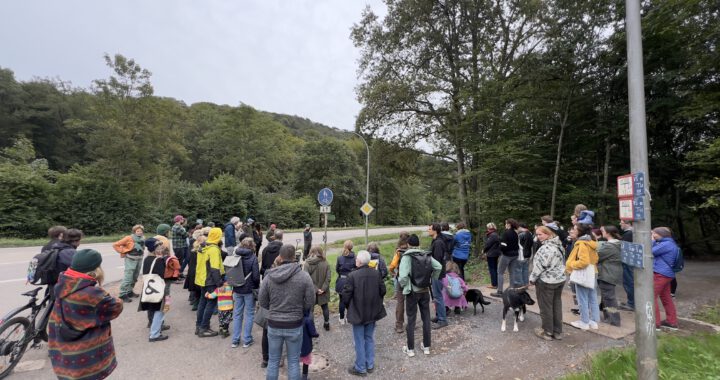 7. Waldspaziergang mit 70 Menschen und vielen Aktivitäten