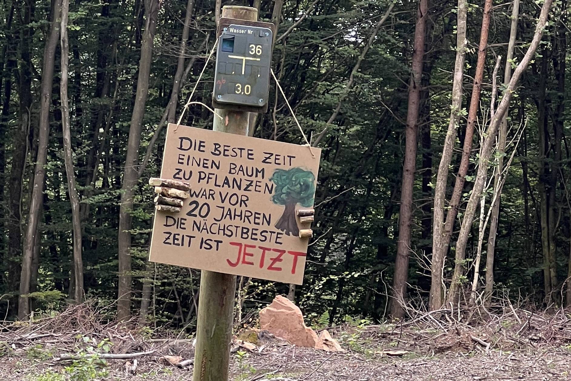 Baumschild 'Die beste Zeit einen Baum zu pflanzen war vor 20 Jahren. Die nächstbeste Zeit ist JETZT'