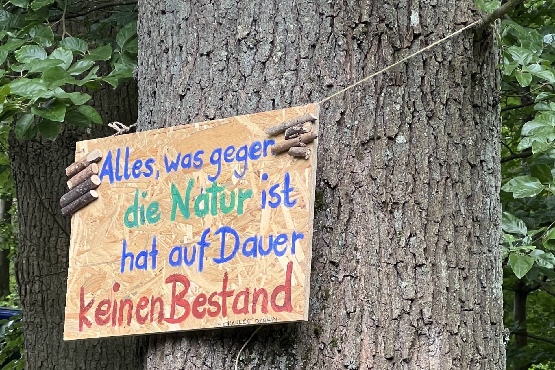 Baumschild 'Alles, was gegen die Natur ist, hat auf Dauer keinen Bestand'